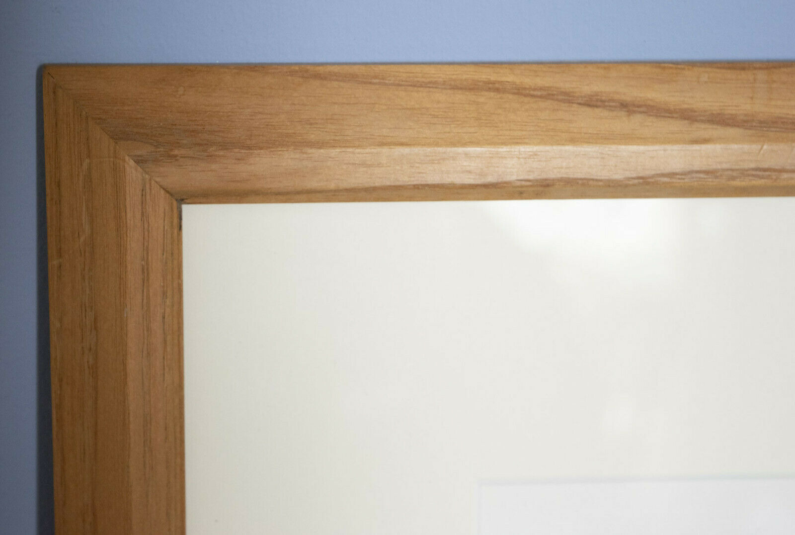 Share Caradoc - Sheep Farming - Image 5