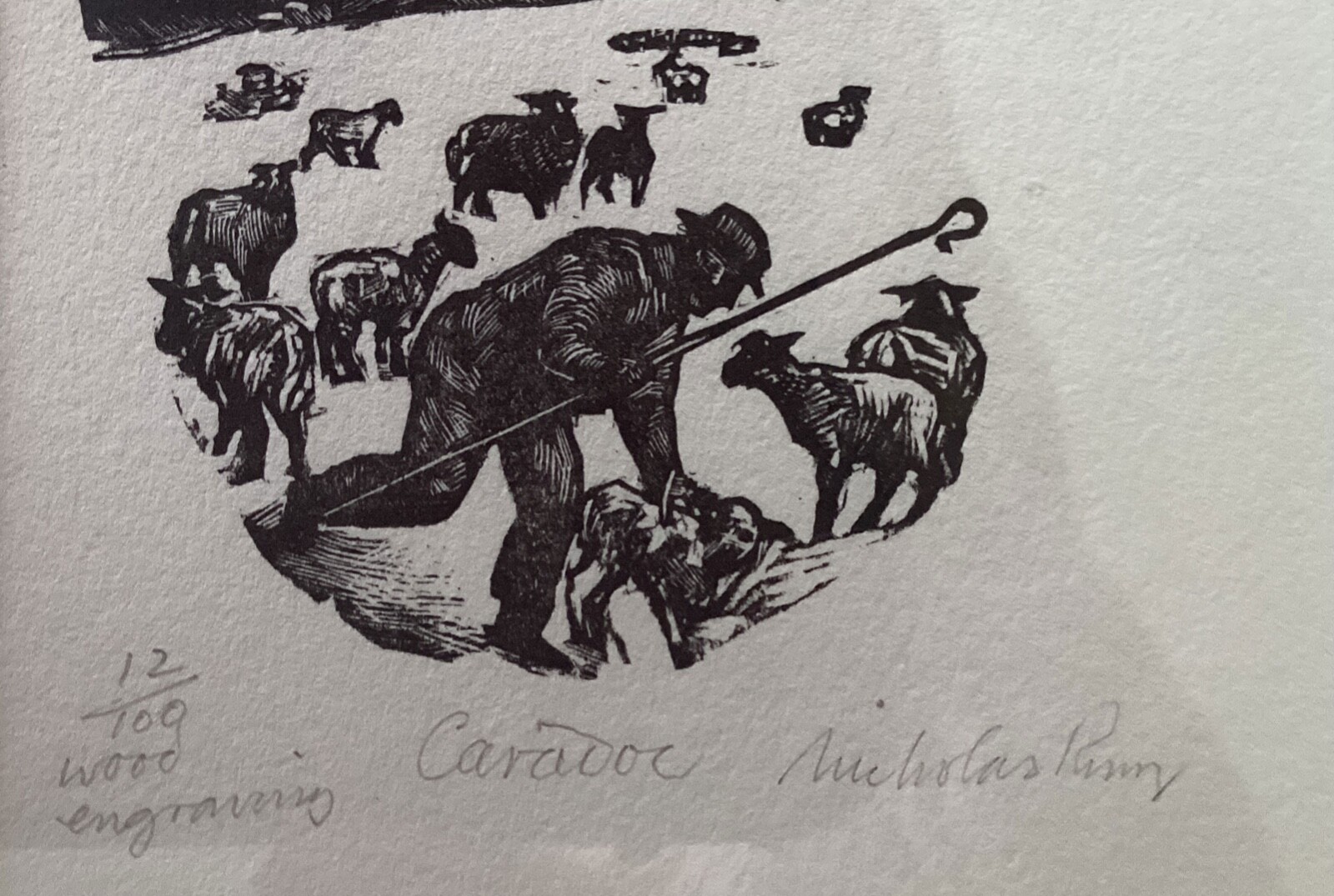 Share Caradoc - Sheep Farming