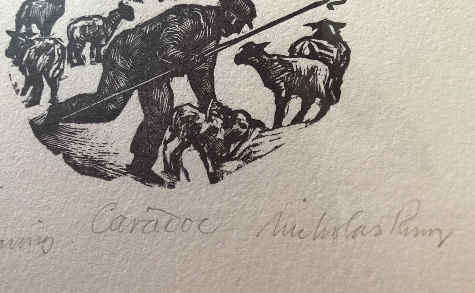 Share Caradoc - Sheep Farming