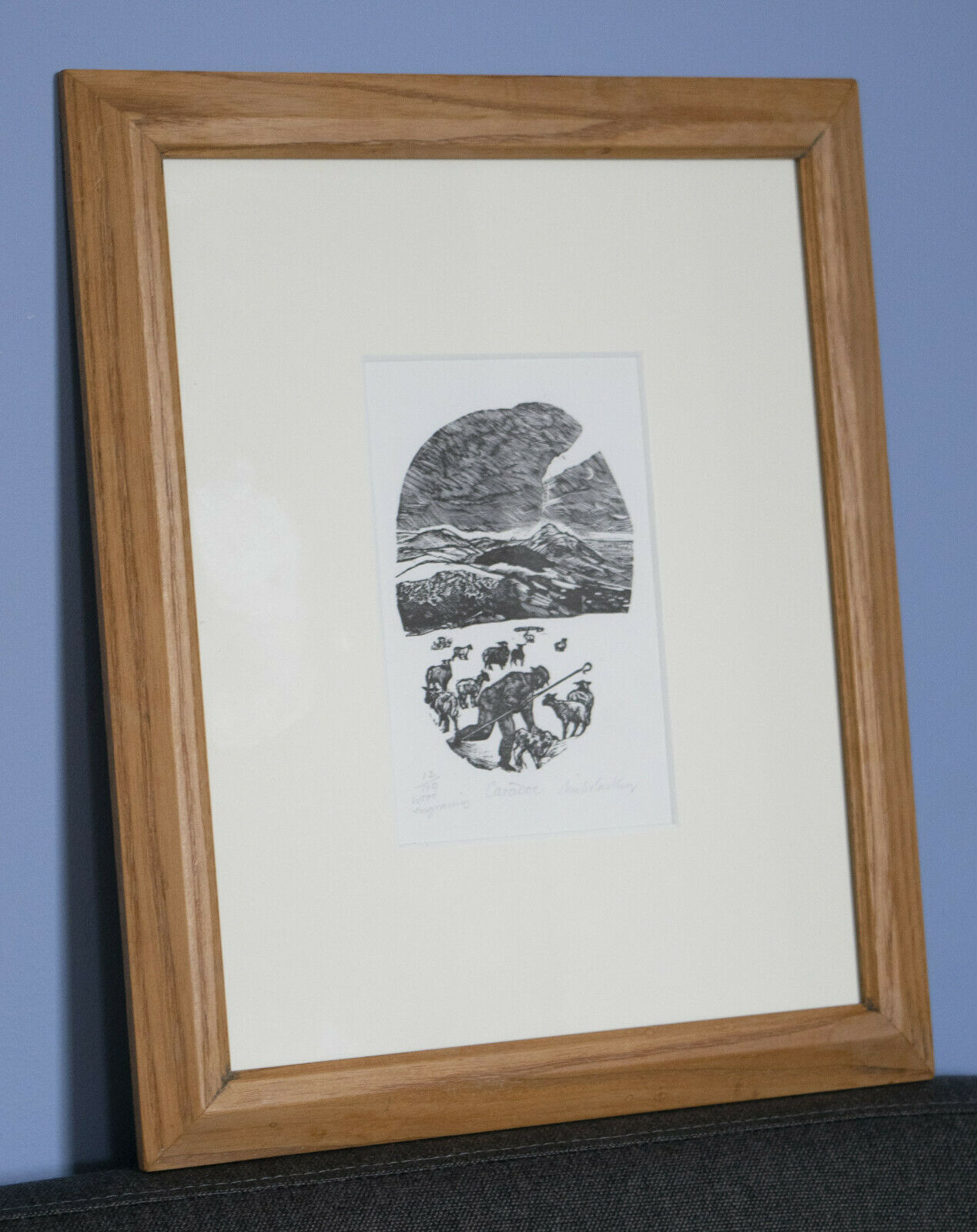 Share Caradoc - Sheep Farming