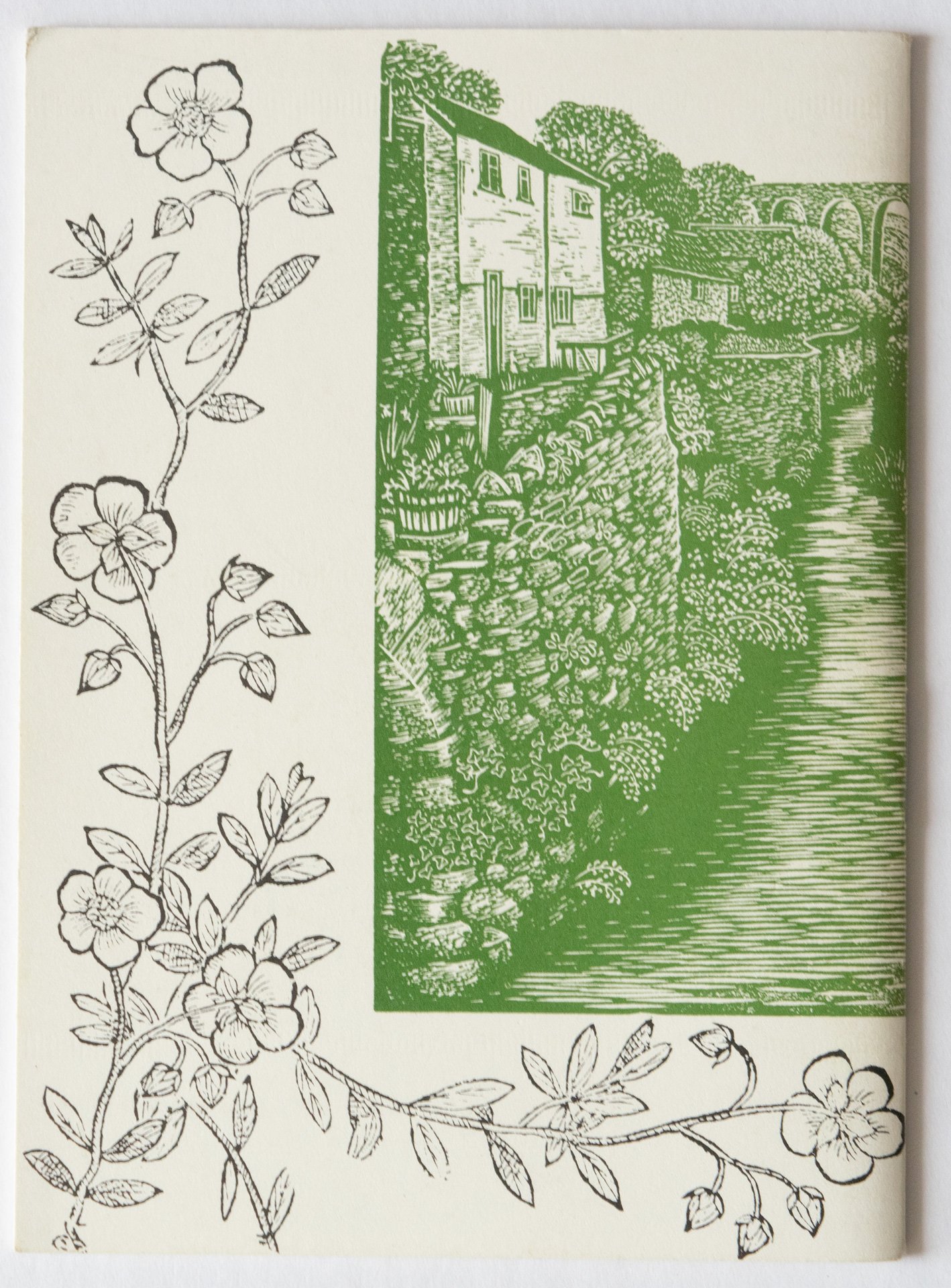 Hilary Paynter's Picture Book