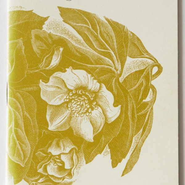 Margaret Wells' Picture Book