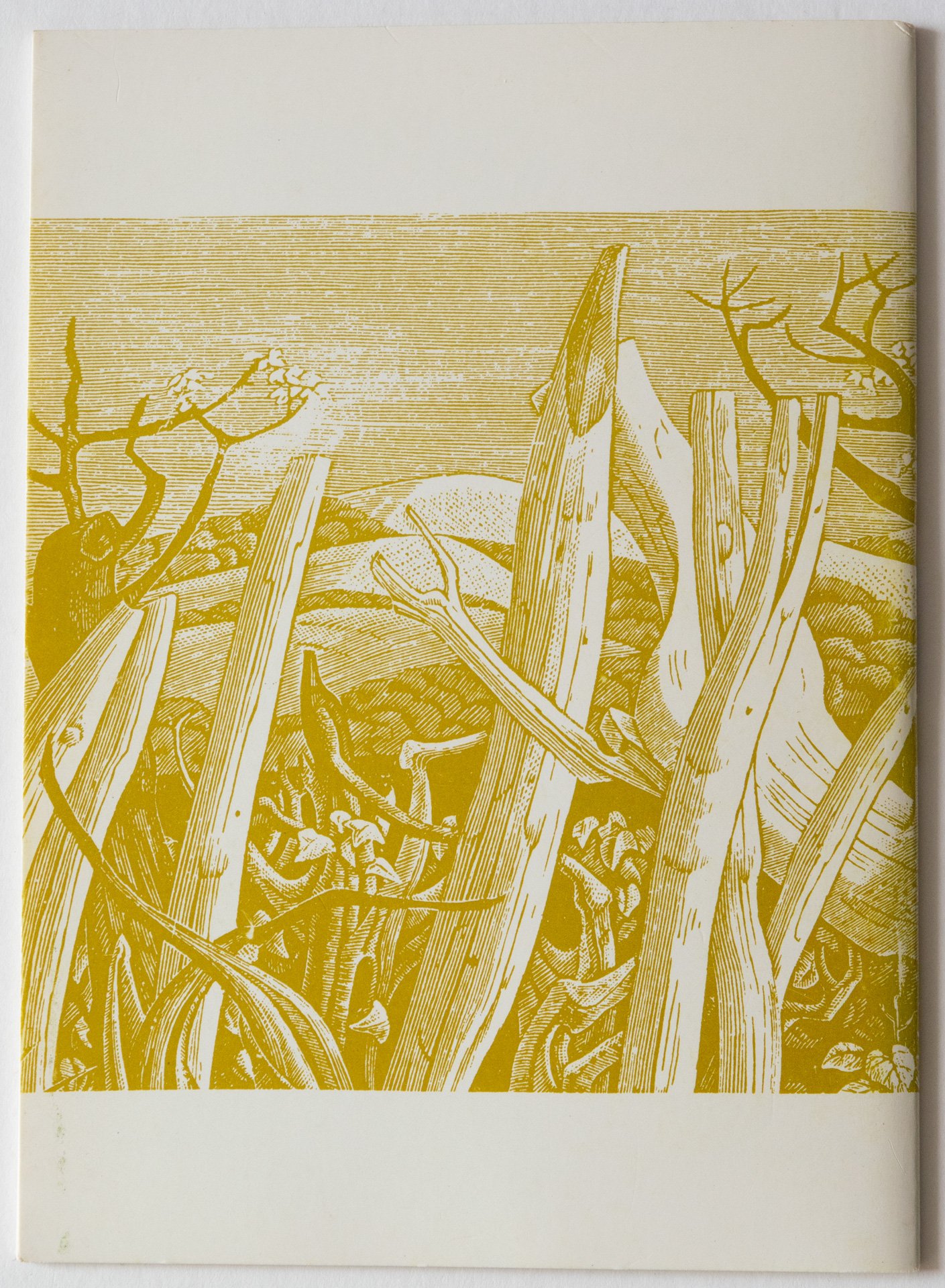 Monica Poole's Picture Book