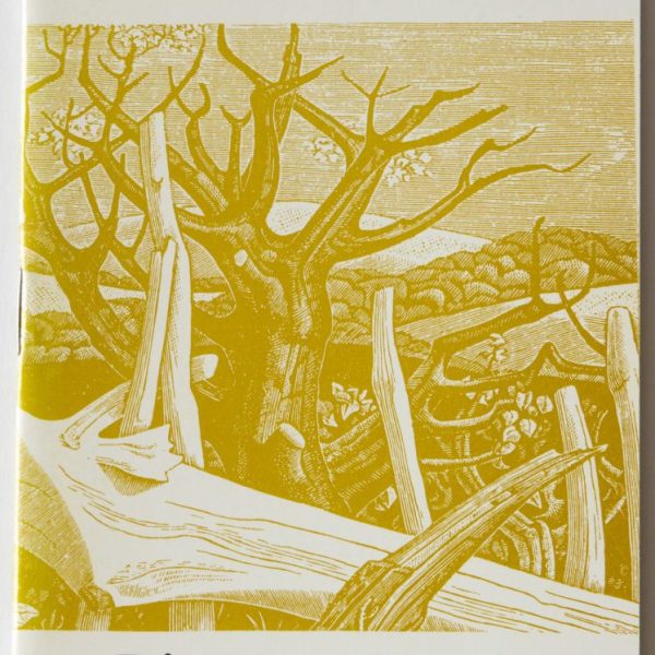 Monica Poole's Picture Book