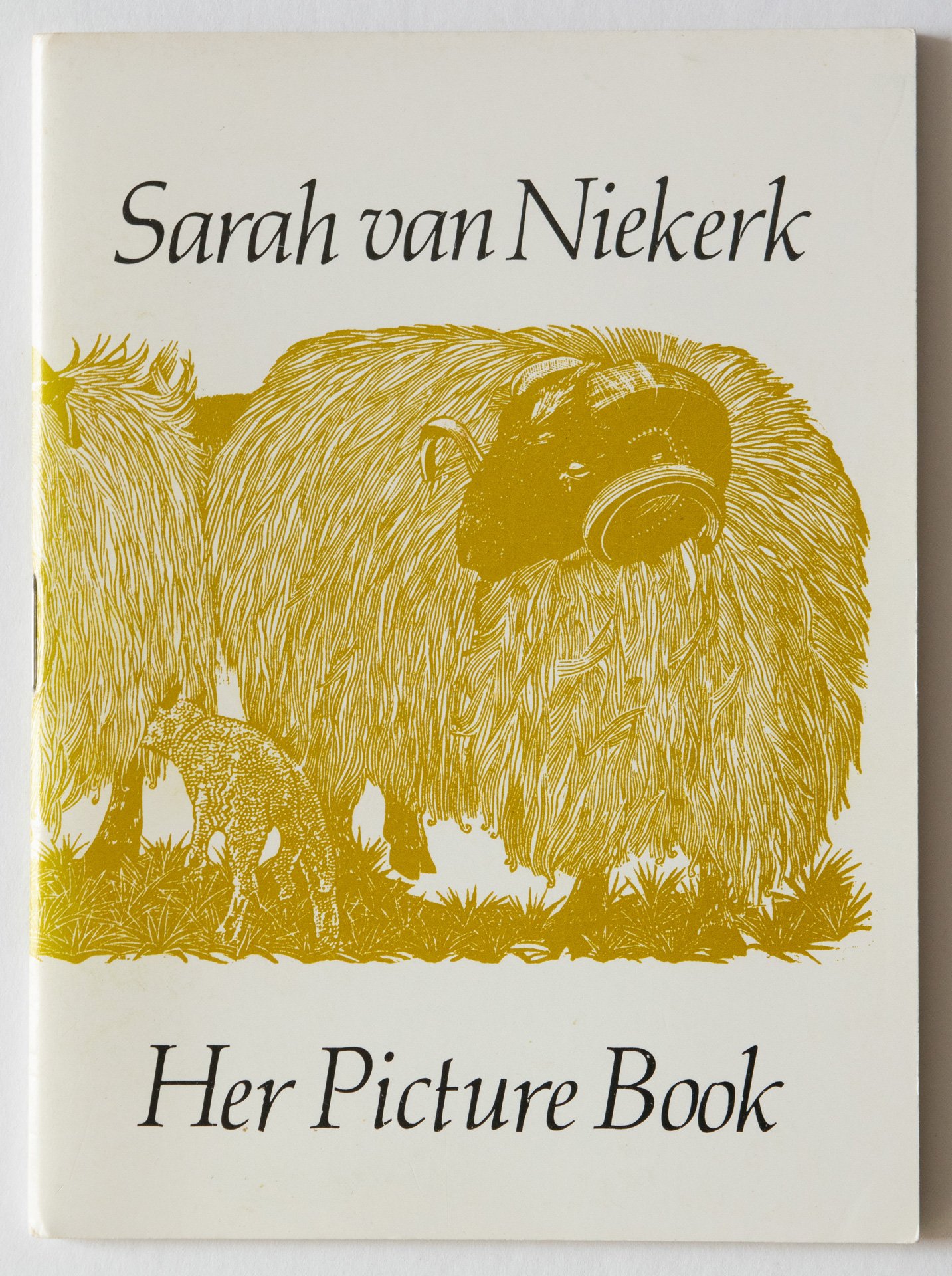 Sarah van Niekerk Her Picture Book
