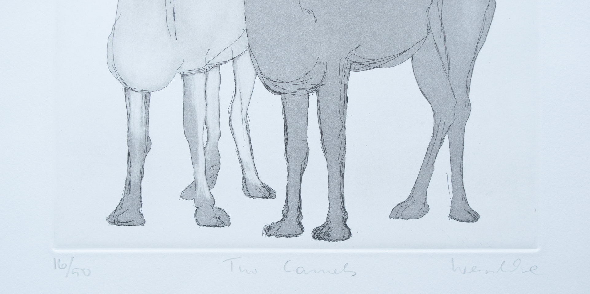Two Camels - Karl Weschke (16/50)