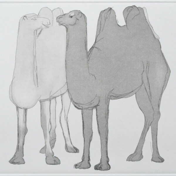 Two Camels - Karl Weschke (16/50)