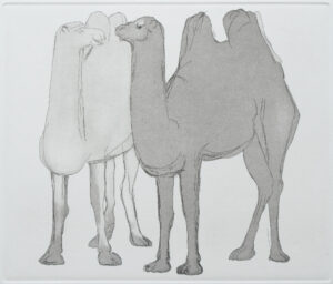 Two Camels - Karl Weschke (16/50)