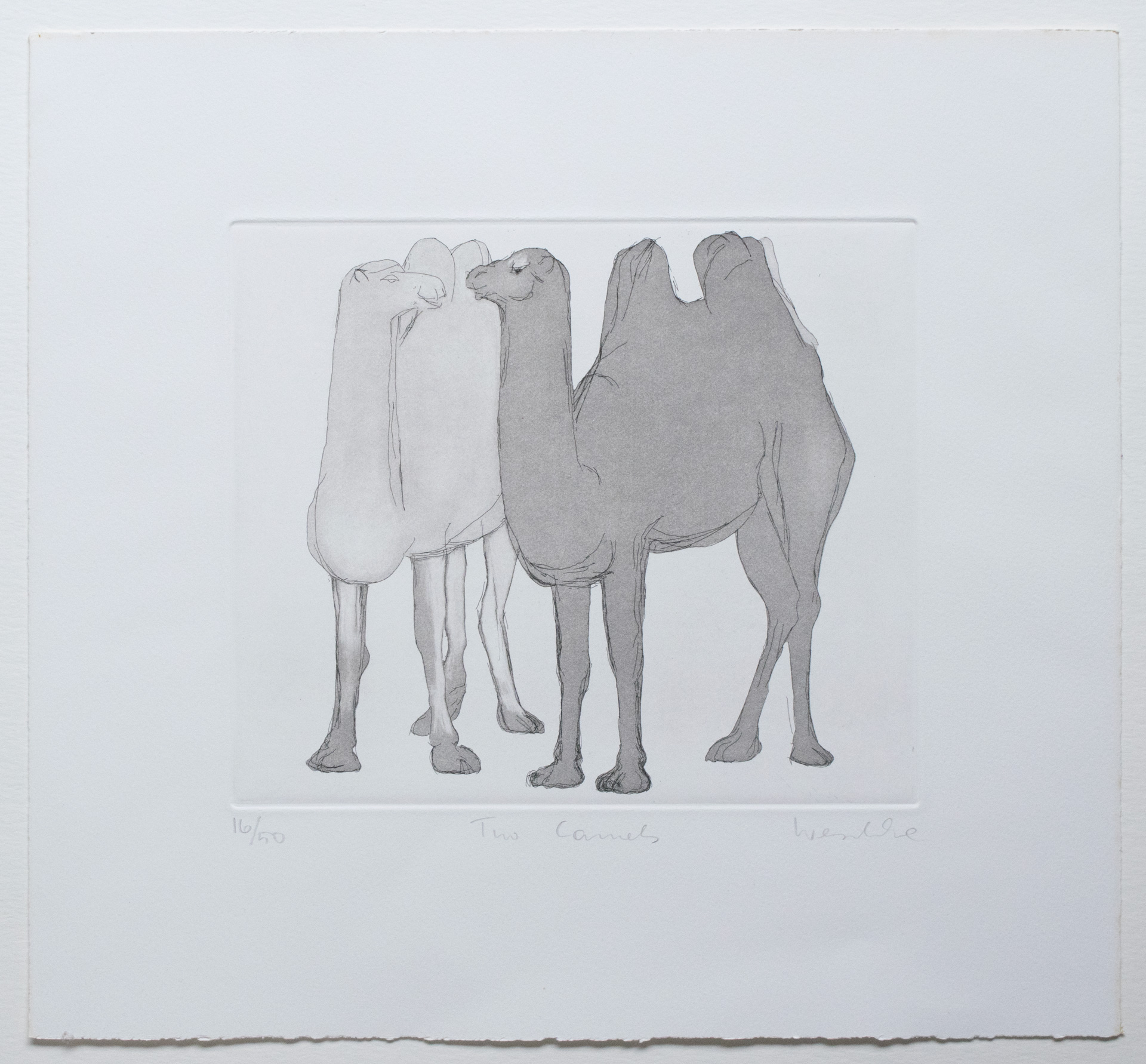 Two Camels - Karl Weschke (16/50) - Image 2